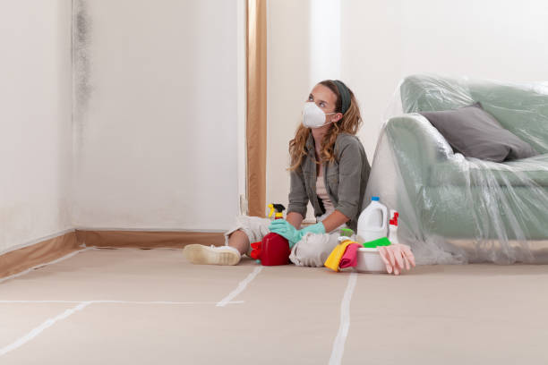 Reliable Black Mold Removal contractor in Jarrettsville, MD by WQB Mold Removal